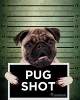 Poster Rachael Hale Pug Shot Banjo 40x50cm