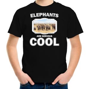 Dieren kudde olifanten t-shirt zwart kinderen - elephants are cool shirt jongens en meisjes