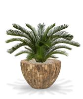 Cycas deluxe kunstpalm M 80cm