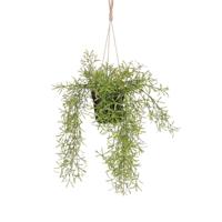 Kunstplant mica rhipsalis hangend in pot groen