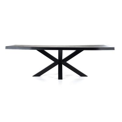 Boomstam tafel met spinpoot 240x100cm zwart