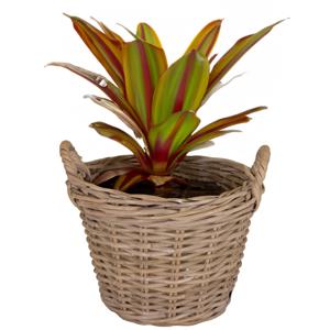 Mega Collections Planten/bloemen mand Levi - rotan - naturel - D25 x H18 cm - plantenpot voor buiten   -