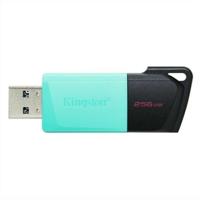 USB stick Kingston DTXM/256GB Zwart 256 GB