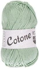 Lana Grossa Cotone 127 Lente Groen