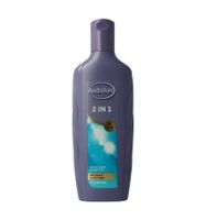 Shampoo 2 in 1