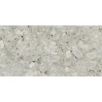 Florim Timeless 744865 Vloertegel 300X600 Ceppo di Gre 9Mm Glans Ret.