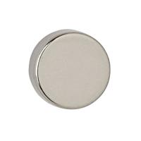 Magneet maul neodymium rond 12x5mm 4kg