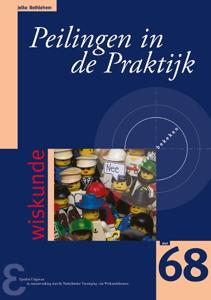 Peilingen in de Praktijk (Paperback)
