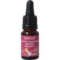 Ladrome bloemessence walnut bio