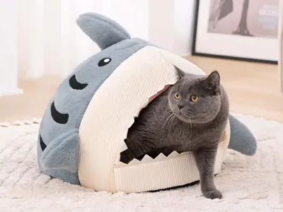 Haai Kattenmand Deluxe