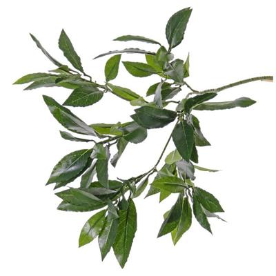 Bellatio flowers & plants Kunstplant laurierblad - Kunsttakken -?groen - 48 cm