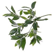 Bellatio flowers & plants Kunstplant laurierblad - Kunsttakken -?groen - 48 cm