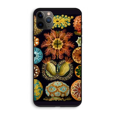 Haeckel Ascidiae: iPhone 11 Pro Biologisch afbreekbaar hoesje
