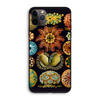 Haeckel Ascidiae: iPhone 11 Pro Biologisch afbreekbaar hoesje