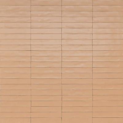 Ragno Wish RCGC Wandtegel 053X300 Petal 10Mm Mat