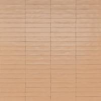Ragno Wish RCGC Wandtegel 053X300 Petal 10Mm Mat