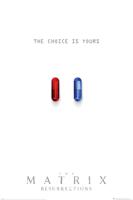 Poster The Matrix Resurrections The Choice is Yours 61x91,5cm