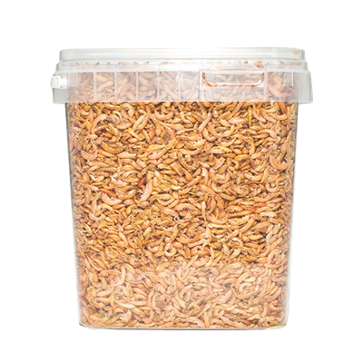 VB Gammarus - 2,5 liter