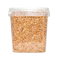 VB Gammarus - 2,5 liter