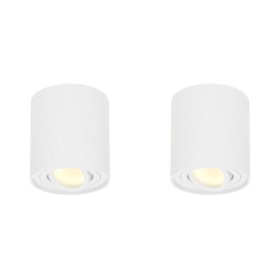 Set van 2 Ray LED opbouwspots - Rond - Dimbaar - 4 Watt 345 lumen - 2700K warm wit - Kantelbaar - GU10 - Plafondspot - IP20 Voor binnen - Wit