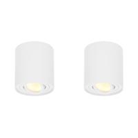 Set van 2 Ray LED opbouwspots - Rond - Dimbaar - 4 Watt 345 lumen - 2700K warm wit - Kantelbaar - GU10 - Plafondspot - IP20 Voor binnen - Wit