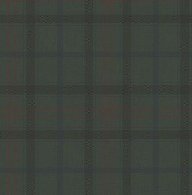 Dutch Wallcoverings Sauvage Ruit - Groen/Rood