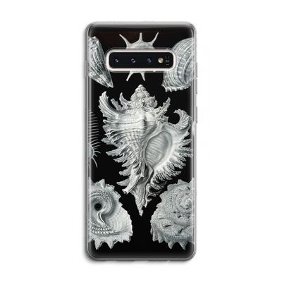 Haeckel Prosobranchia: Samsung Galaxy S10 4G Transparant Hoesje