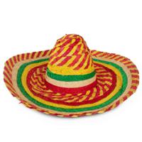 Mexicaanse Sombrero hoed voor heren - carnaval/verkleed accessoires - multi kleuren