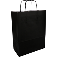 Tas | Kraftpapier | gedraaid papieren koord | 26x 12x35cm | draagtas | zwart | 100 stuks