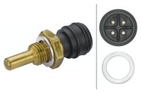 Temperatuursensor 6PT009107841