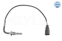 Sensor, uitlaatgastemperatuur 1148000253