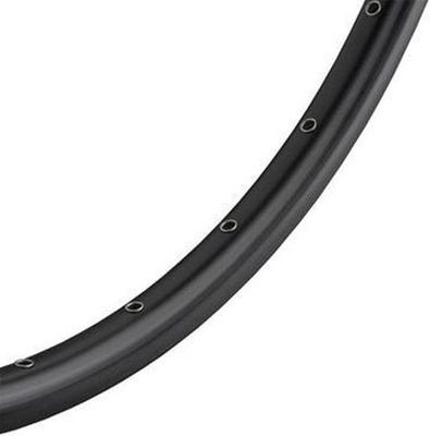 Ryde Velg zac 2000 disc 28" / 622*19c aluminium - 36 gaats 14g - mat zwart