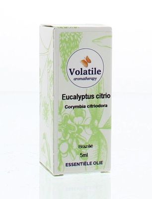 Eucalyptus citriodora