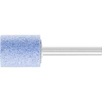 PFERD TOOLS 31131338 Schuurpen Diameter 20 mm 10 stuk(s)