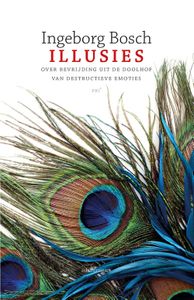 Illusies - Ingeborg Bosch - ebook