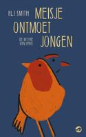 Meisje ontmoet jongen (Paperback)