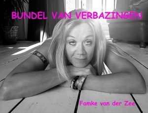 Bundel van verbazingen - Famke van der Zee - ebook