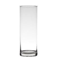 Hakbijl Glass Cilinder Design Bloemenvaas - transparant - 24 cm