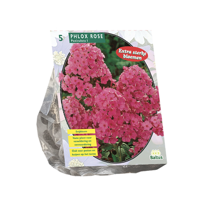Vlambloem