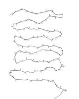 HEMA Lichtsnoer 12m met 100 LED lampjes twinkelend voor binnen en buiten (wit)