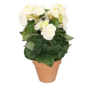 Kunstplant - Begonia - Wit - 30 cm - In Terracotta Pot