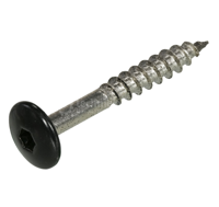 Hoenderdaal Hpl Schroef Rvs-A2 Torx TX20 Gitzwart Ral9005 4.8X32 | 100 stuks - 0346.30.37323