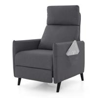Fauteuil met Ligfunctie & Verstelbare Rugleuning & Voetsteun & 2 Tijdschriftenzakken Donkergrijs