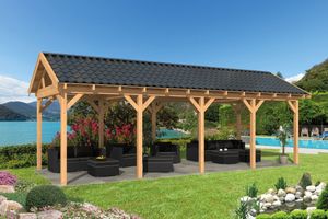 Lariks/Douglas Overkapping Hamar L type 9 blank 903x395 cm- Zadeldak- Onbehandeld lariks Douglas hout- Tuindeco