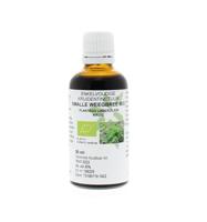 Plantago lanc / smalle weegbree tinctuur bio