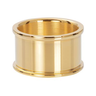 iXXXi Basisring 12 mm Goud