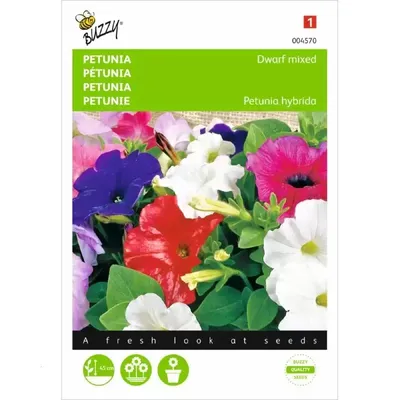 Petunia laag gemengd
