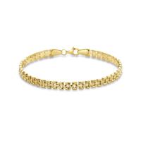 14k Geelgouden Armband met Panter schakels - 19cm Draaglengte en 5mm Schakelbreedte