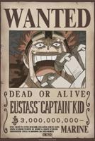 Poster One Piece Poster Wanted Kid Wano 38x52cm
