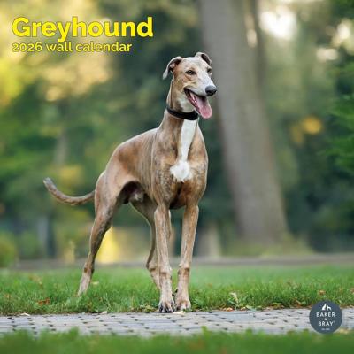 Greyhound Kalender 2026